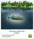 Чарлі Метелик фотография #17 (источник - https://vk.com/id61674657)