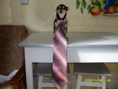 Андрій Федорович фотография #8 (источник - https://vk.com/id101564238)