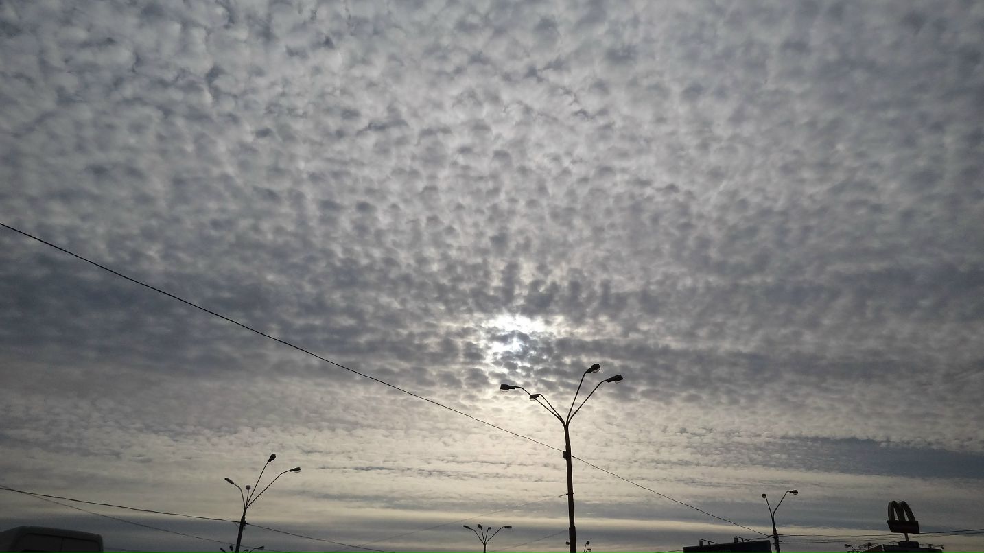 Дима Мороз фотография #34