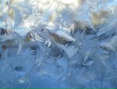 Фотография Левашовой Марии