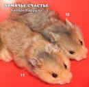 Діана Береза фотография #28 (источник - https://vk.com/id153738983)