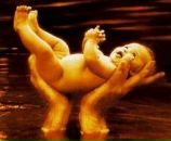 Фотография Савченковой Елены