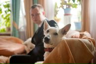 Фотография Ибрагимова Рафаэля