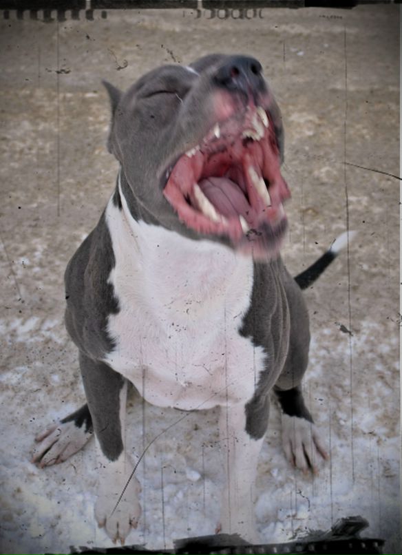 Эдуард Камаев фотография #10