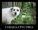 Марічка Галечик фотография #50 (источник - https://vk.com/id62034879)