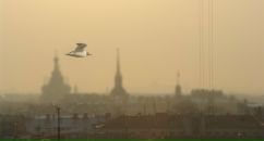 Фотография Reikhtman Grigori