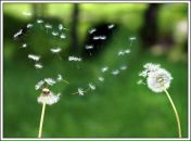 Фотография Александровой Катерины