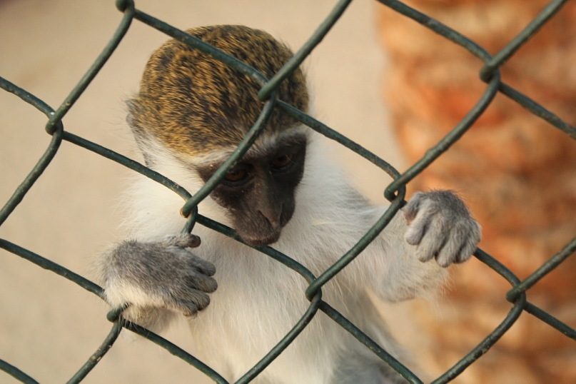 Сергей Морозов фотография #43