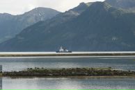 Johnny Bravo фотография #18 (источник - https://vk.com/id3681697)