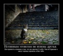 Фотография Болдецкой Ирины