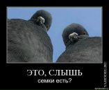 Іванна Мельничук фотография #29 (источник - https://vk.com/id12898392)