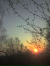 Фотография Андреевой Веры