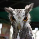 Фотография Cheee Никита