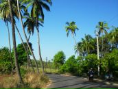 Фотография Кузибаевой Натали