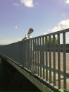 Марінчик Басараб фотография #13 (источник - https://vk.com/id66838560)