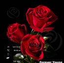 Эдуард Κрюков фотография #19 (источник - https://vk.com/id40051079)