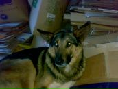 Вітьок Юхимчук фотография #12 (источник - https://vk.com/id123891730)