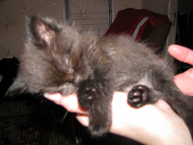 Денис Ларин фотография #24