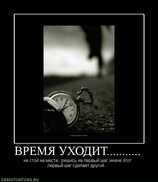 Дмитрий Шитов фото №17