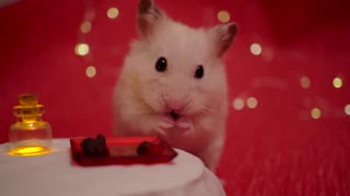 ♥ Праздничный ужин на день Св. Валентина для Ванильки!