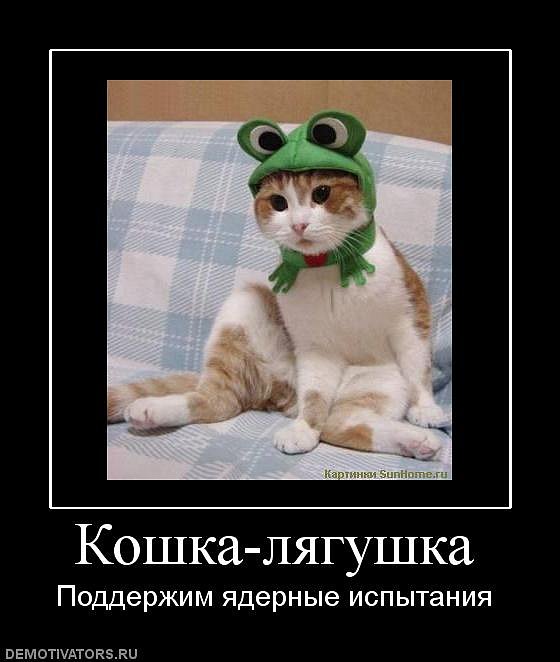 Иван Пташник фотография #37