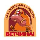 Фотография Сейбатова Юрия