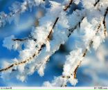 Фотография Эрнст Илья