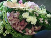 Леся Силенко фотография #12 (источник - https://vk.com/id3301581)