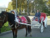 Фотография Комарова Александра