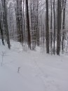 Вася Сірий фотография #18 (источник - https://vk.com/id70227408)