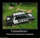 Фотография Кусаева Алана