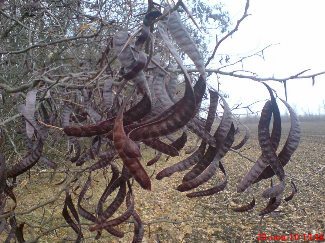 Павел Пашенко фотография #19