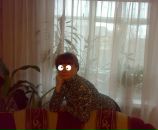 Фотография Данильченко Лены