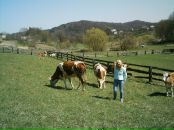 Інна Гончарук фотография #2 (источник - https://vk.com/id47578845)