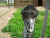 Фотография Шевелева Дмитрия