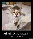 Станіслав Дрібушевський фотография #7 (источник - https://vk.com/id199871035)