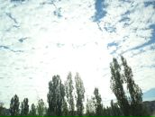 Андрій Кузь фотография #18 (источник - https://vk.com/id73238944)