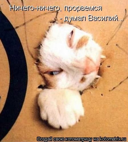 №17, Виктор Голубев, 41 год, Череповец №17, Виктор Голубев, 41 год, Череповец