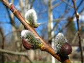 Іван Руднік фотография #28 (источник - https://vk.com/id113826045)