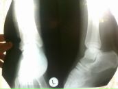 Фотография Савинова Антона