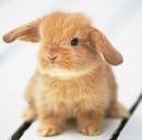 Фотография Lelka Olka