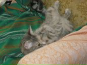 Фотография Белоножко Валентины