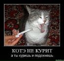 Катя Ярасимів фотография #19 (источник - https://vk.com/id78781632)