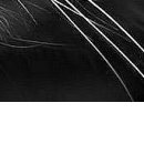 Світлана Курей фотография #25 (источник - https://vk.com/id70915138)