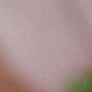 Каріно4ка♥ Шрамко фотография #26 (источник - https://vk.com/id147791993)