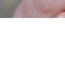 Каріно4ка♥ Шрамко фотография #4 (источник - https://vk.com/id147791993)