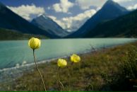 Nick N фотография #14 (источник - https://vk.com/id16209708)