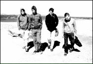 Фотография Art-Force The