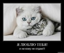 Тетяна Парінська фотография #15 (источник - https://vk.com/id136408907)