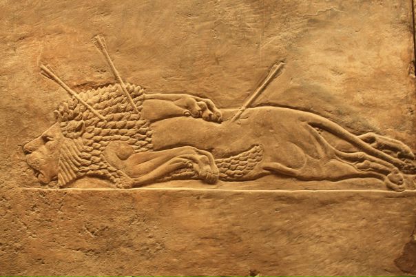 Дмитрий Гудков фото №40